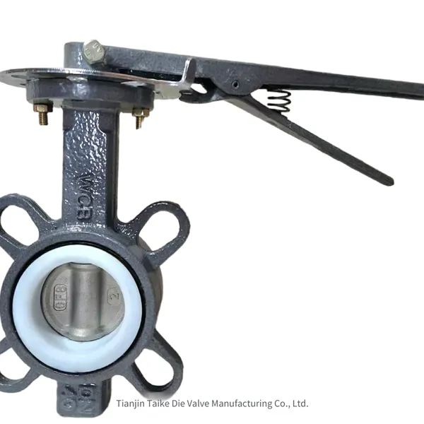 Jintaike Factory Directly Supplies Manual Ptfe Butterfly Valve D71f With High - Quality Frp Ptfe Valve Seat, Fluorine - Lining Available photo-5
