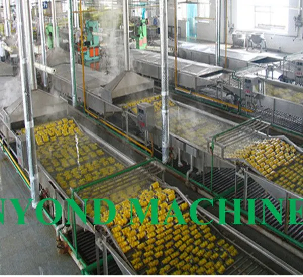 High Efficiency Canned Pineapple Processing Plant / Pineapple in Syrup Processing Line photo-4