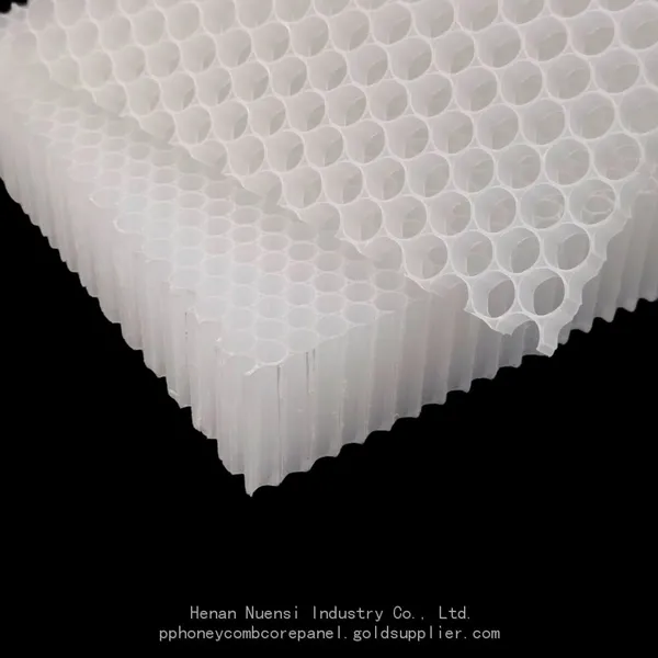 High-strength Plastic Polypropylene pp Honeycomb Core Panel photo-2