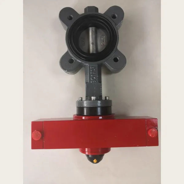 CB/T4303 Standard Check Valve for Shipboard Compressed Air Lines, Dual Plate, Wafer Connection photo-5
