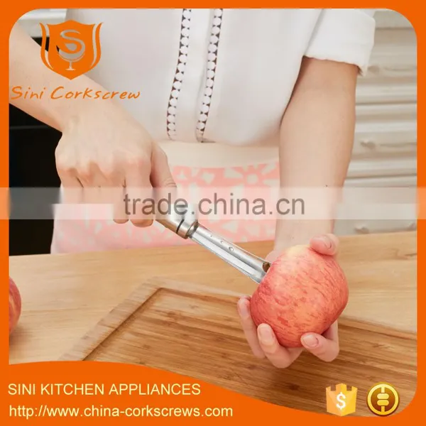 Stainless Steel 304 Apple Corer Remove Fruit Corer Apple Cutter Quality Choice photo-5