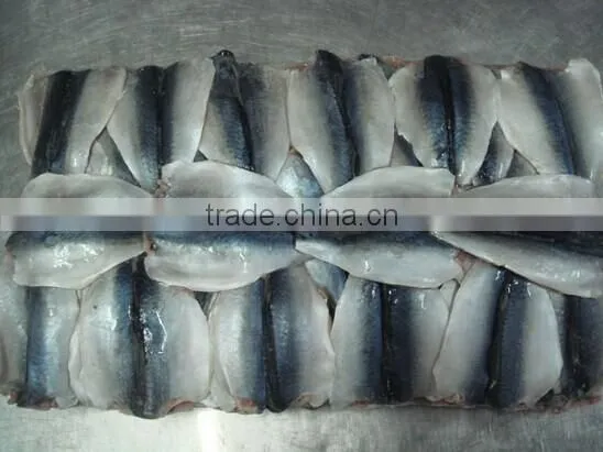 Pacific Mackerel Fillets