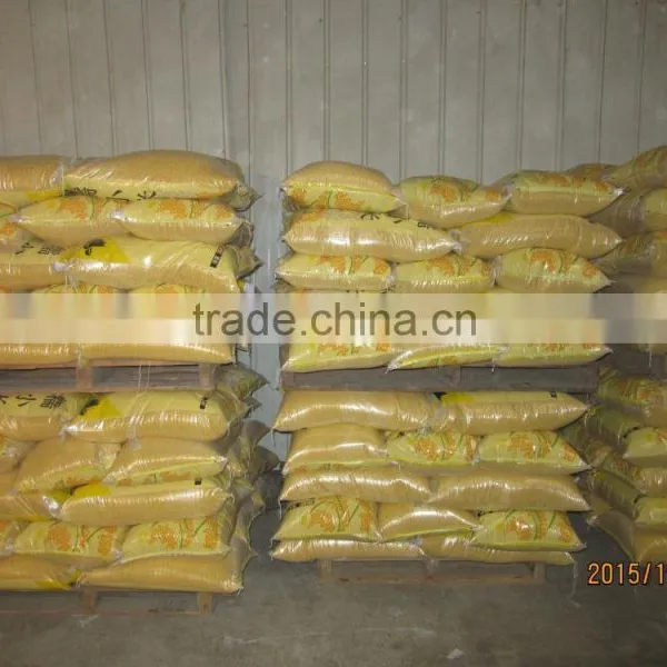 Yellow Millet (glutinous) Good Quality for Sale photo-3