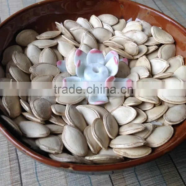 High Quality Wholesale Shine Skin Pumpkin Seeds photo-2