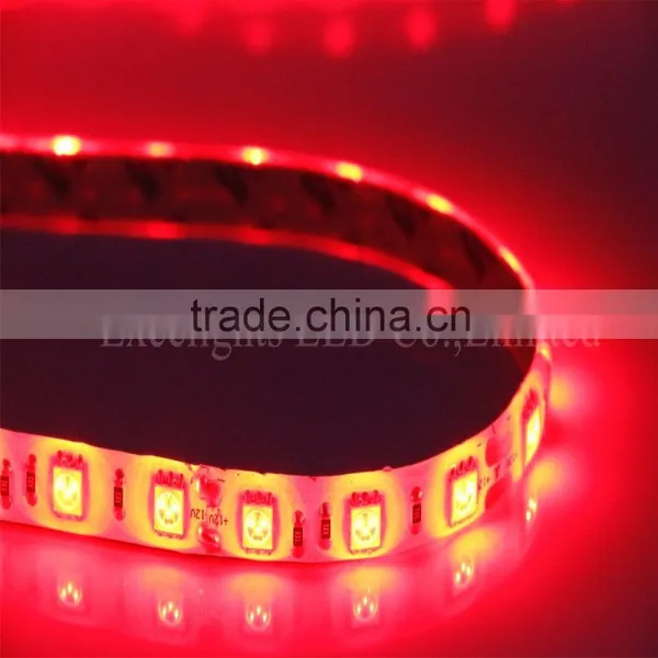 CE RoHS IP65 Waterproof 5M 12V 300leds 5050 SMD LED Light Strip photo-3