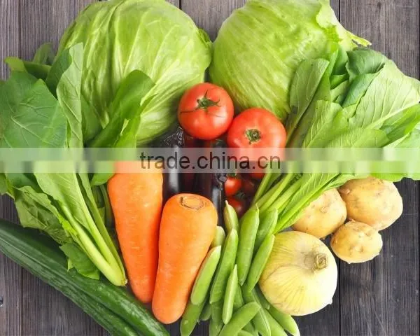 Baby Food Without Additives / Made in Japan Organic Baby Food Vegetable Soup 100g (from 5 Months Old) photo-4