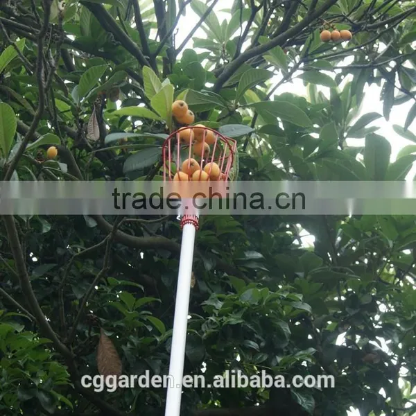 Farming Tools Different Types of Rake photo-2