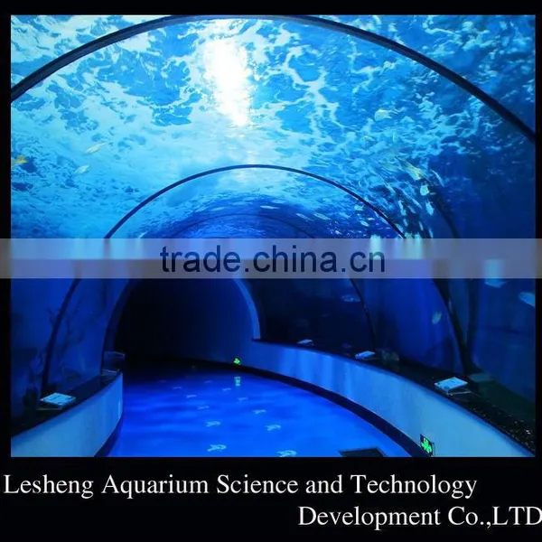 Aquarium Fish