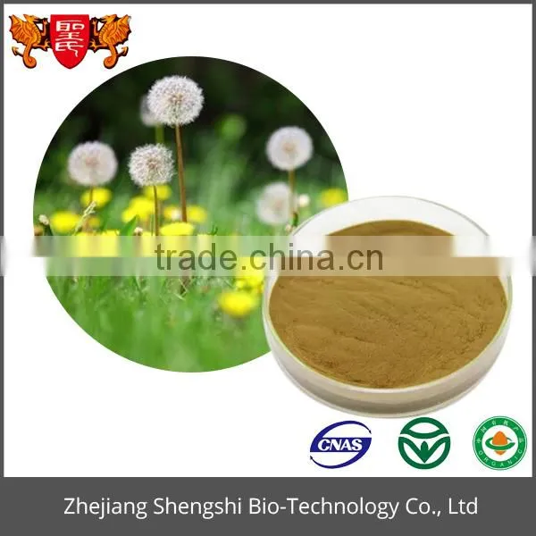 High Quality Artificial Dandelion Flower Extract, Dandelion Extract Powder, Dried Dandelion Powder photo-3
