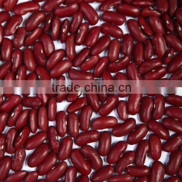 We Are Supply Kidney Beans, Dark Red Kidney Beans for Sale photo-2