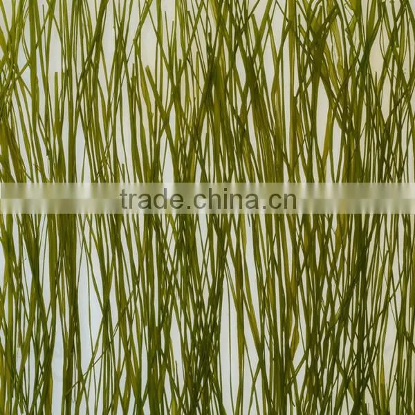 Natural Leaf With Polystyrene Sandwich Panel Acrylic Door Designs photo-3
