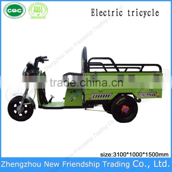 Cargo Delivery Small 3 Wheel Electric Trike Tricycle Rickshaw photo-3