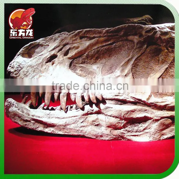 Animatronic Dinosaur Head Fossil