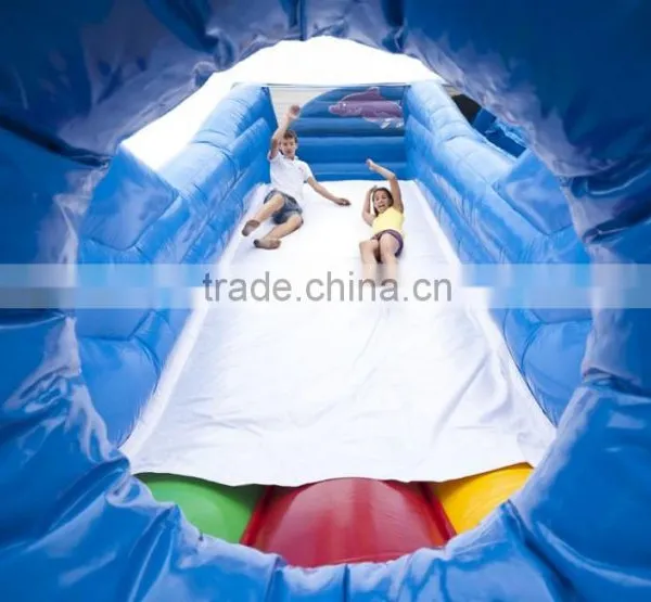 Inflatable Dry Slide for Sale, Cheap Price Inflatable Slide photo-4