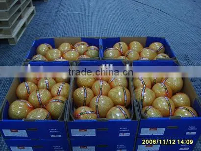 Chinese Fresh Sweet Honey Pomelo Grapefruit photo-6