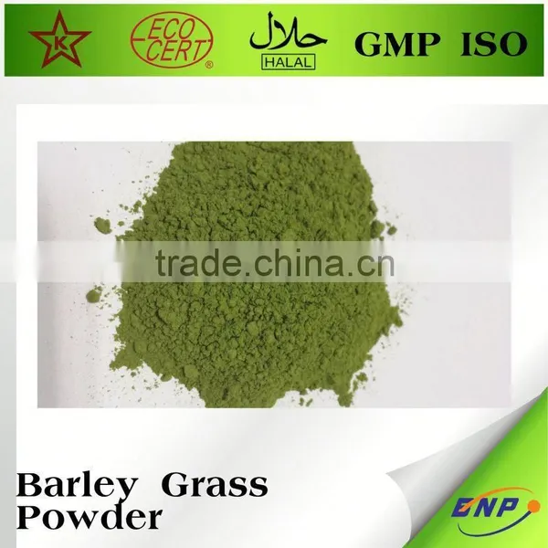 Organic Barley Grass Juice Powder Barley Green Powder photo-2