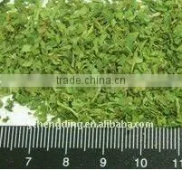 2013 New Crop Coriander Leaf