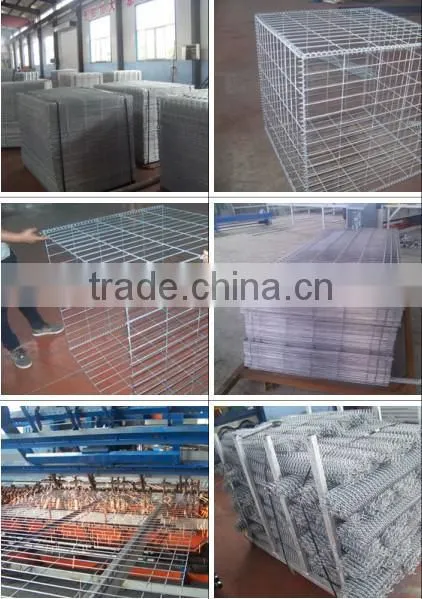 DM Cheap and Hot Sales Steel Mesh Panel photo-6