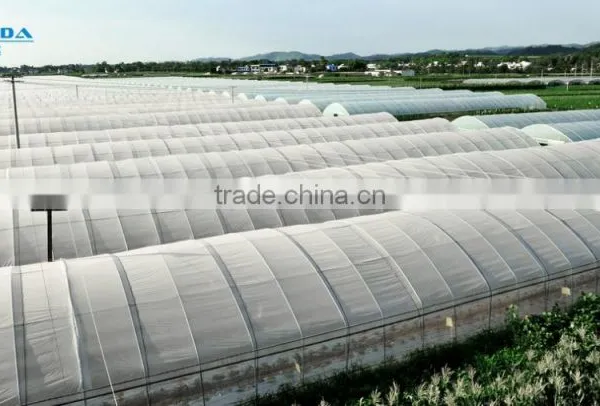 High Performance Pe Film Greenhouse For Strawberry photo-2