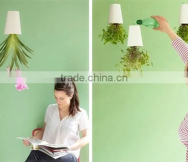 Plastic Sky Planter Creative Decorative Home Mini Sky Garden Flower Pot Beauty Sky Planter photo-4