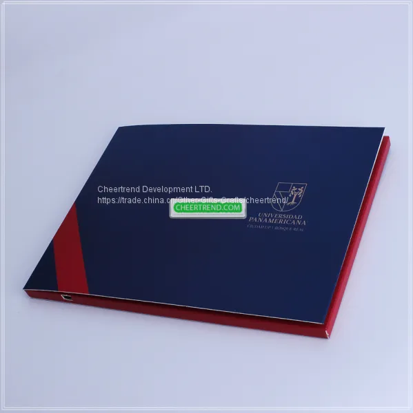 OEM /ODM Factory 2.8/4.3/5/7/10 TFT Lcd Video Brochures for Advertising photo-2