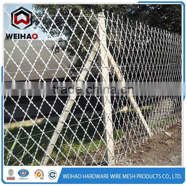 WEIHAO Hot Selling Standard Flat Wrap and Concertina Coil Razor Wire photo-4