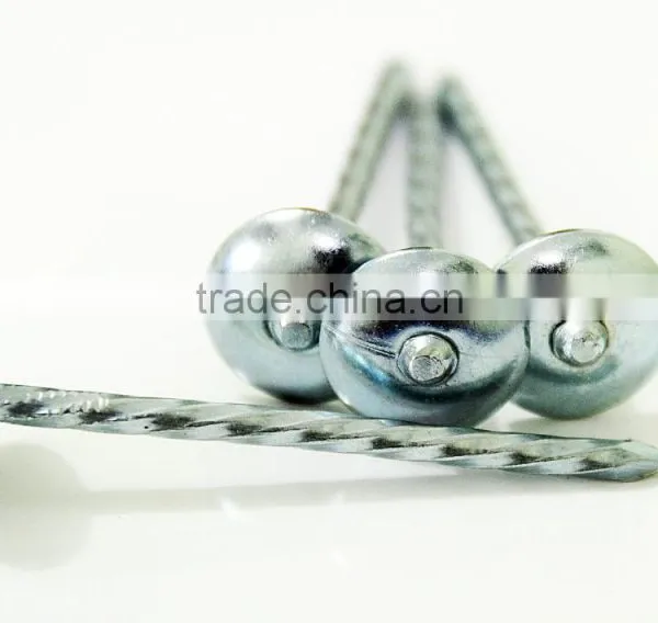Zinc Roofing Nails for Kenya Market photo-3