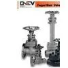 Forged Steel Globe Valve