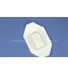 Transparent Dressing With Absorbent Pad(Octacyclic)