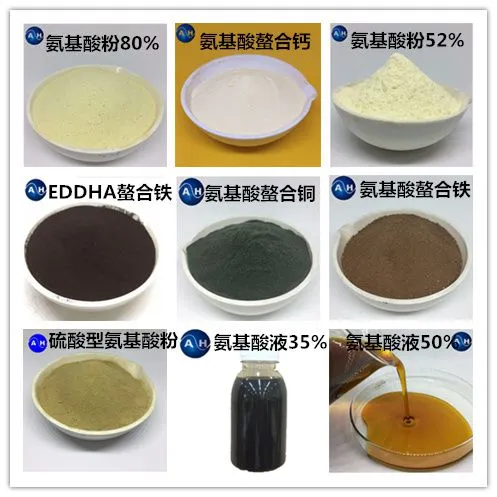 Organic Liquid Amino Acid Chelated Calcium and Boron (Ca+B) Foliar Fertilizer photo-5