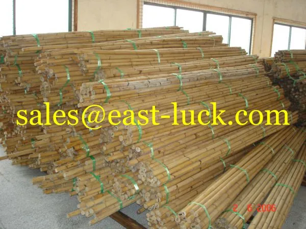 Rattan Cane