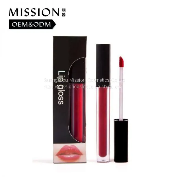 Wholesale Online Sale Custom Logo Ever Lasting Beauty Lip Gloss Makeup photo-3