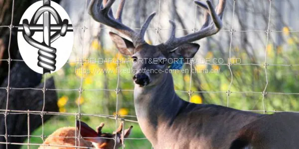 New Type Fixed Knot Wire Mesh Deer Fence Panel