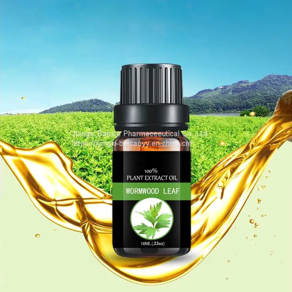 Body Plant Essential Oil Plant Extract Wormwood Oil Massage Oil photo-4