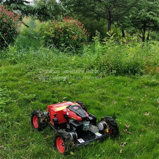 Track Mower, China Bush Remote Control Price, Tracked Robot Mower for Sale photo-3