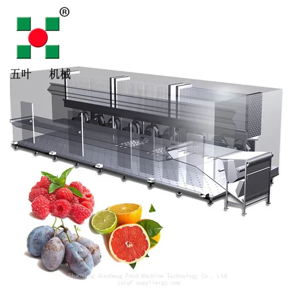 Custom Made Strawberry Fruits Iqf Freezer Machine for Sale