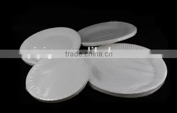 White Christmas Paper Plate photo-2