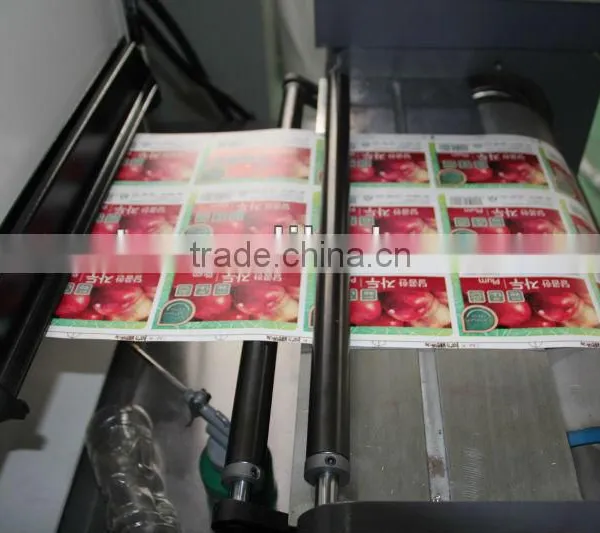 Pharmaceutical Package Printing Machine - WJLZ-350 photo-4
