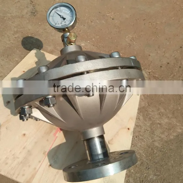 Stainless Steel 304 Diaphragm Pulsation Damper for Water Treatment photo-2