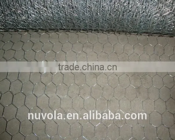 Building Material Galvanized Welded Wire Mesh