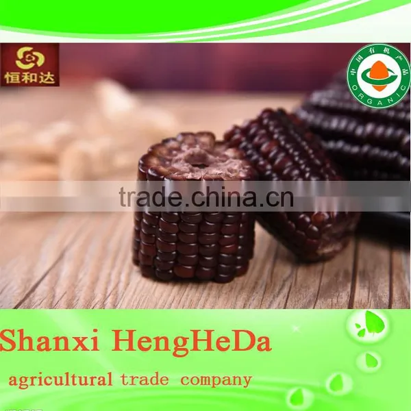 Carbon Fiber Yellow Corn for Animal Feed photo-2