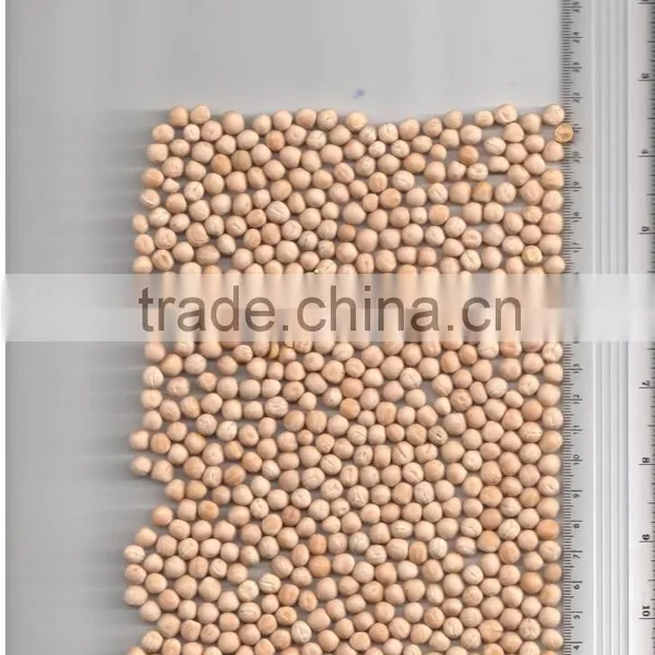 YELLOW PEAS