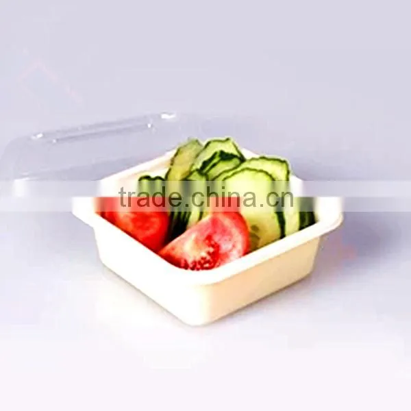 Plastic Food Container