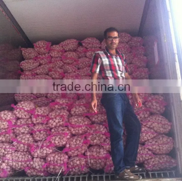 China Red Garlic Price Store Garlic photo-5