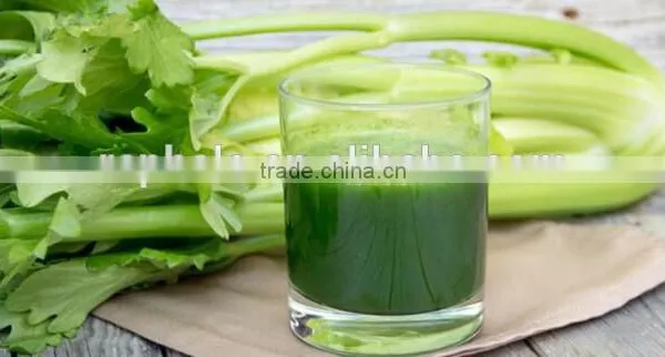 Fruit Pulp Extractor Machine on Sale photo-3