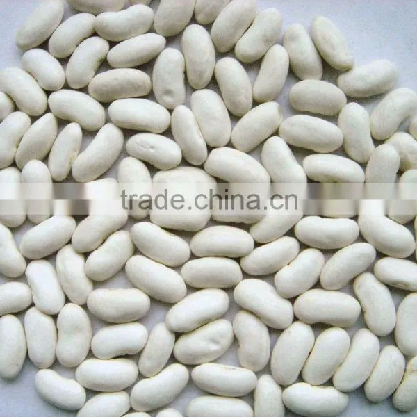 White Kidney Beans