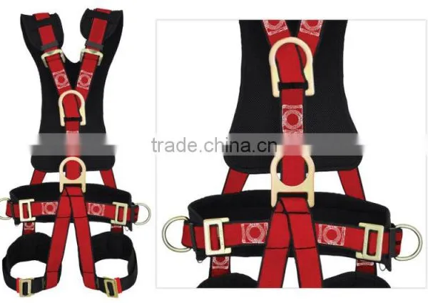BODY HARNESS