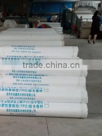 Waterproof Membrane Type TPO Sheet for Roof Materials photo-4