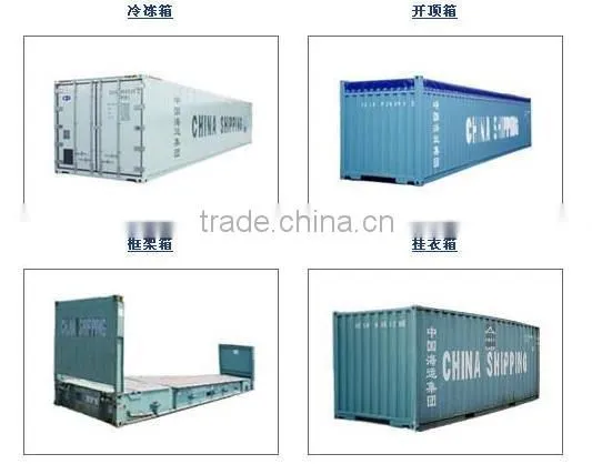 Special Container Transportation to South America/Caribbean Sea/Panama:Reefer/Open Top/Flat Rock