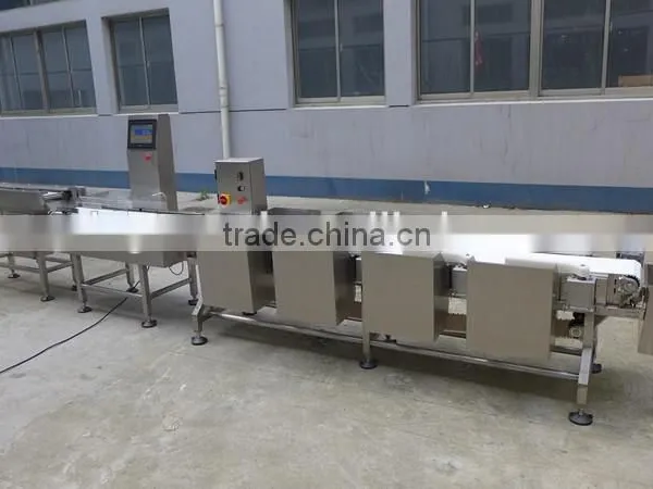 Weigh Conveyor photo-3